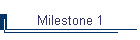 Milestone 1