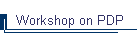 Workshop on PDP